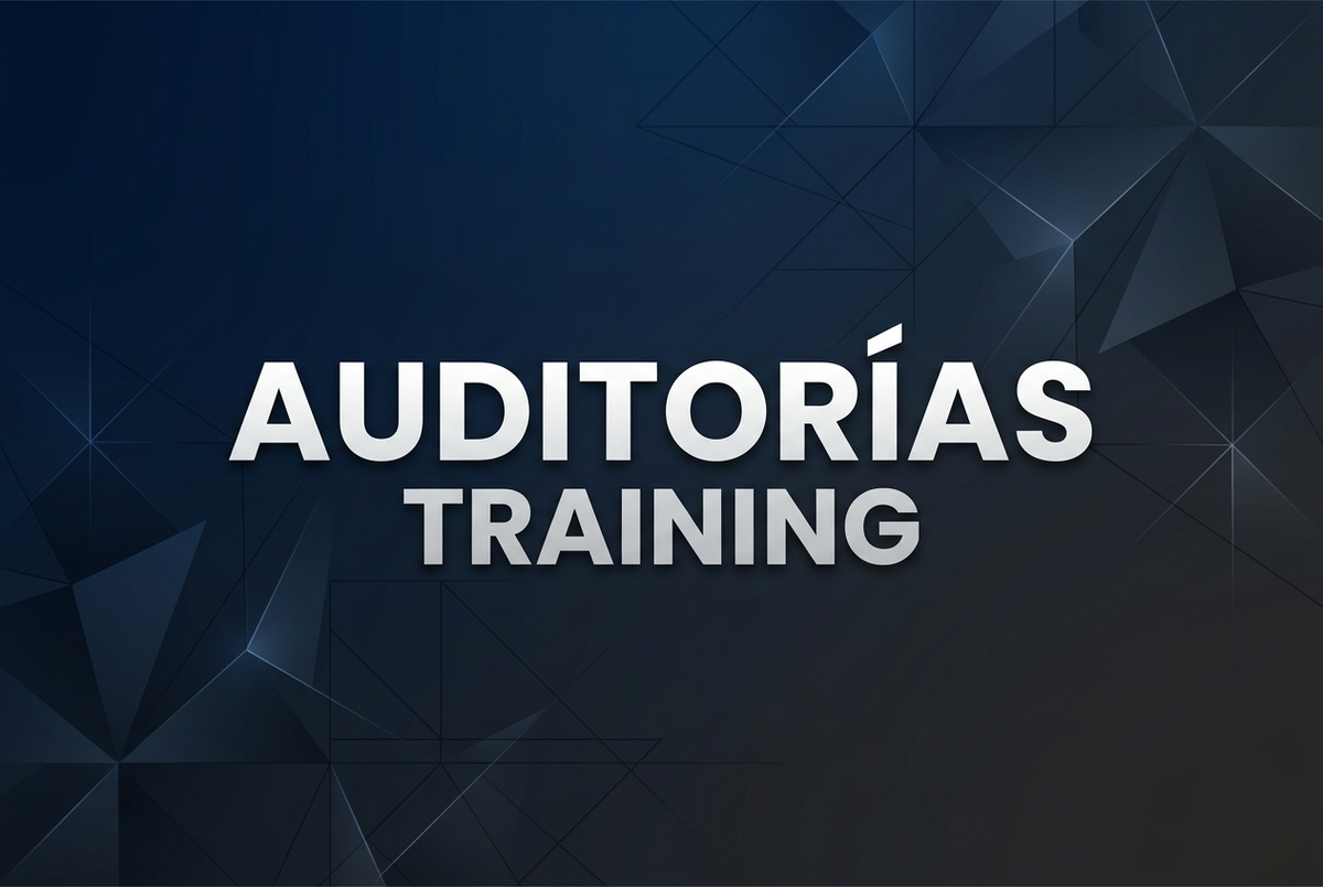 Auditorías training